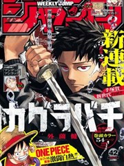 奇奇怪怪漫画《收集癖观察笔记》的唱片封套式封面